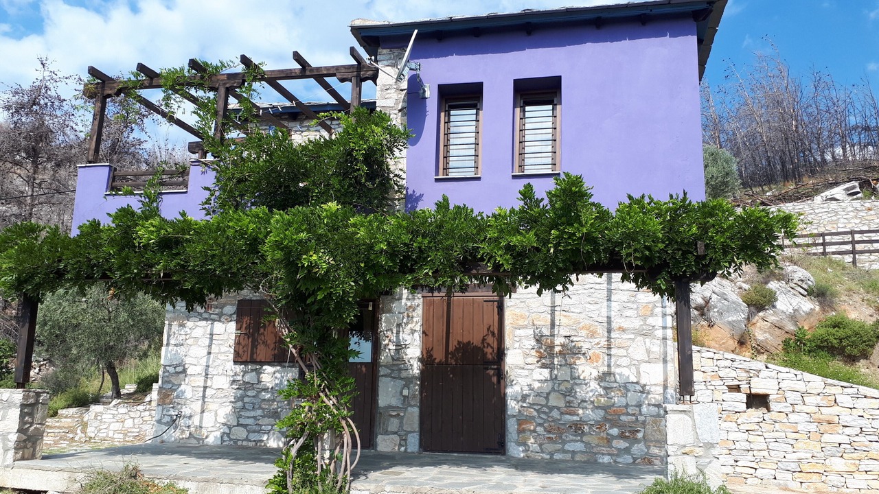 Photo of Outdoor in Thasos