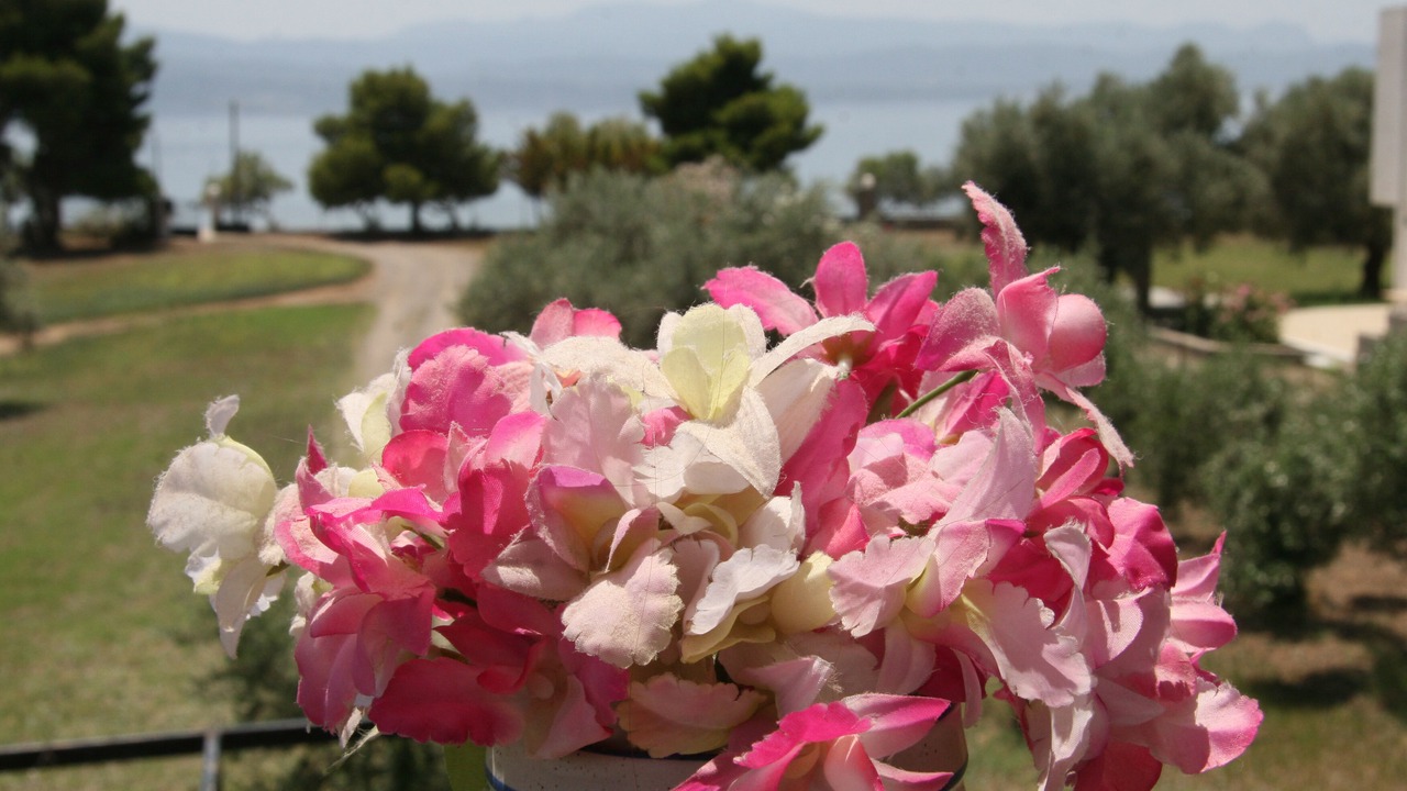 Photo of Outdoor in Amarinthos