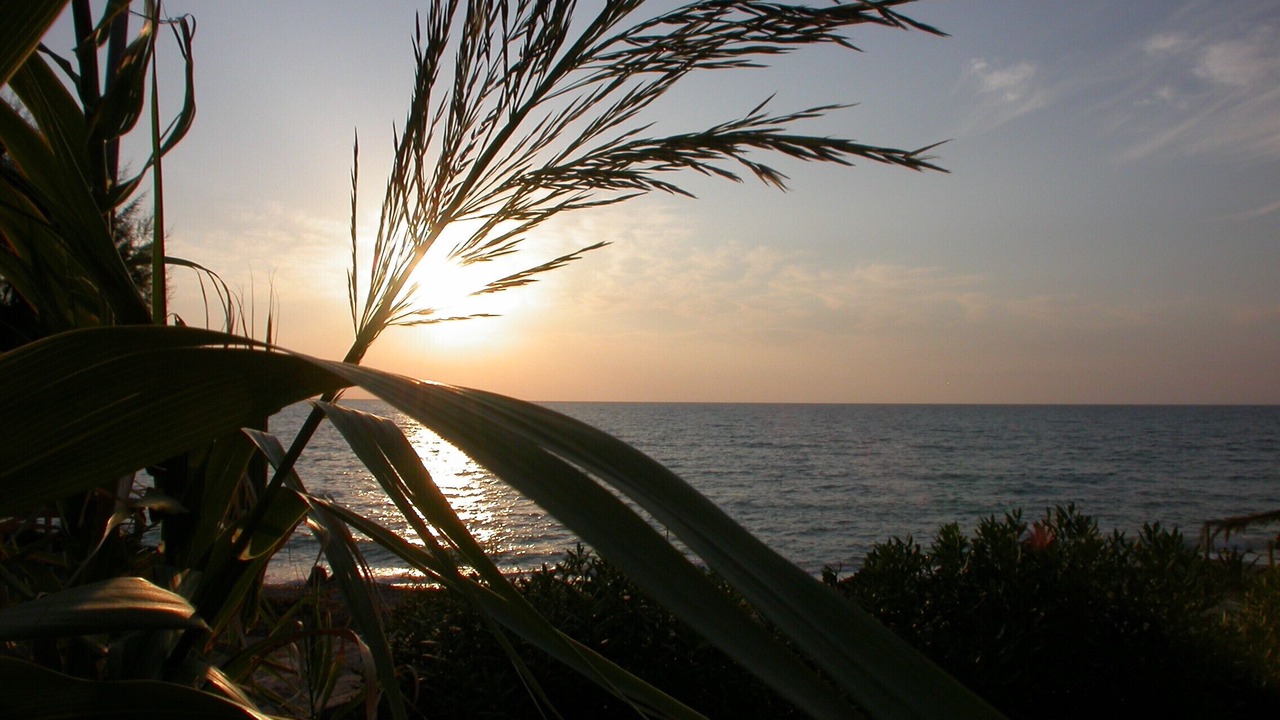 Photo of Outdoor in Kalo Nero