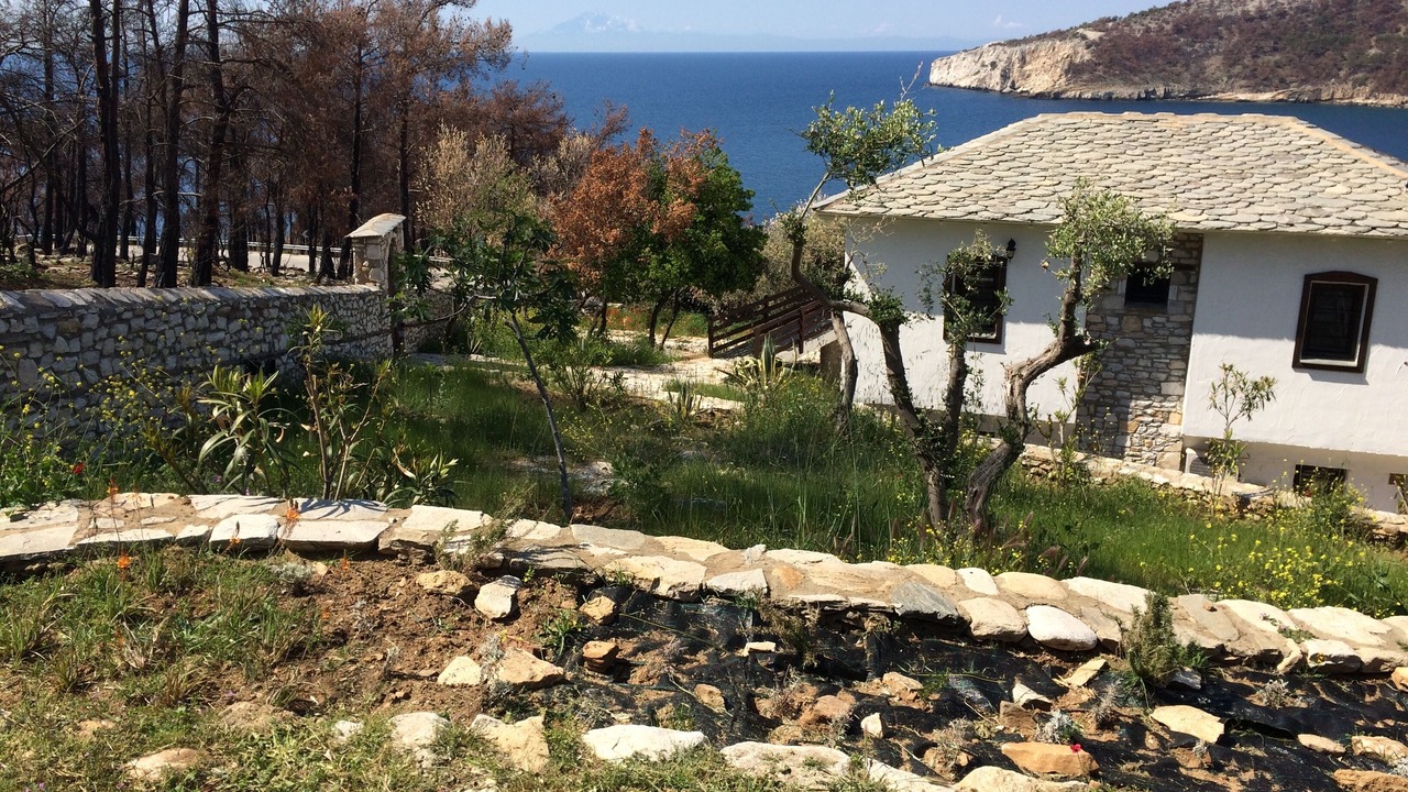 Photo of Outdoor in Thasos