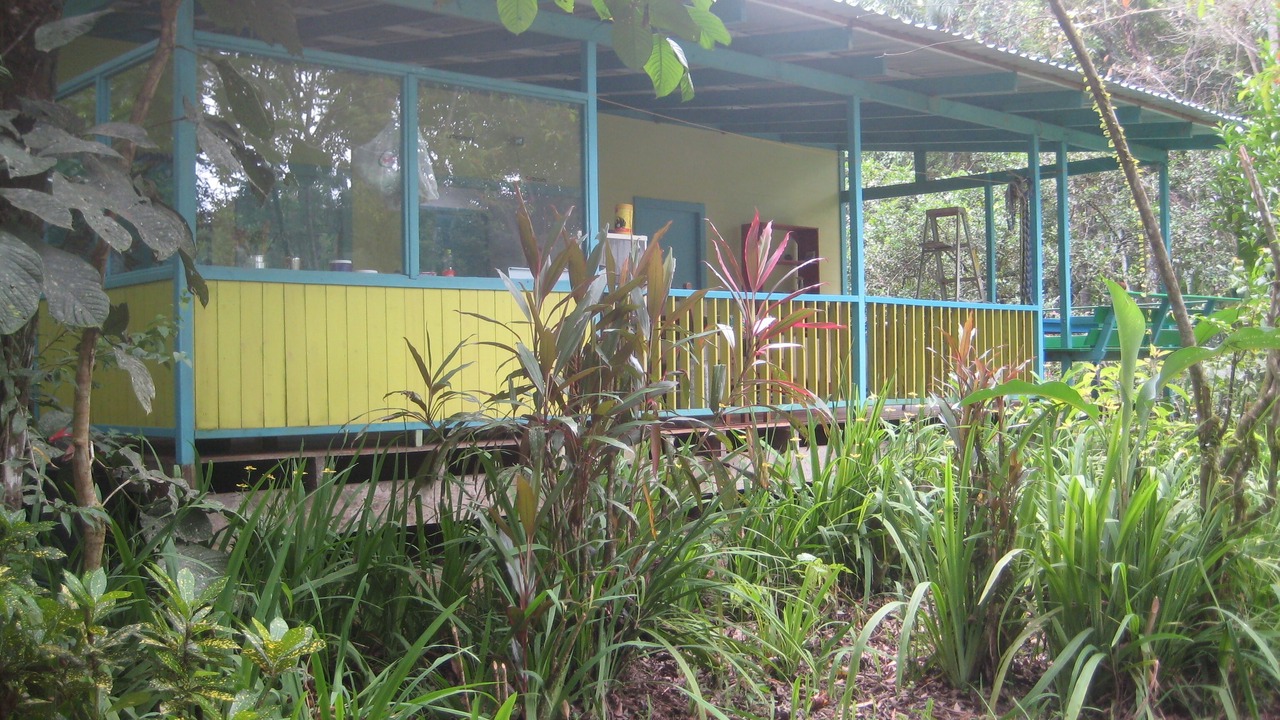 Photo of Outdoor in Cocles