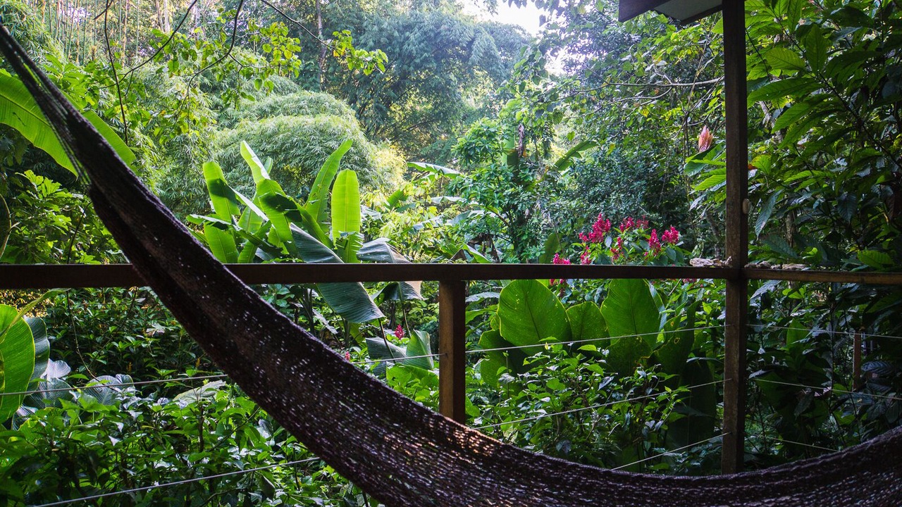 Photo of Outdoor in Cocles