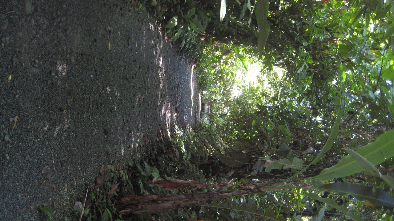 Photo of Outdoor in Cocles