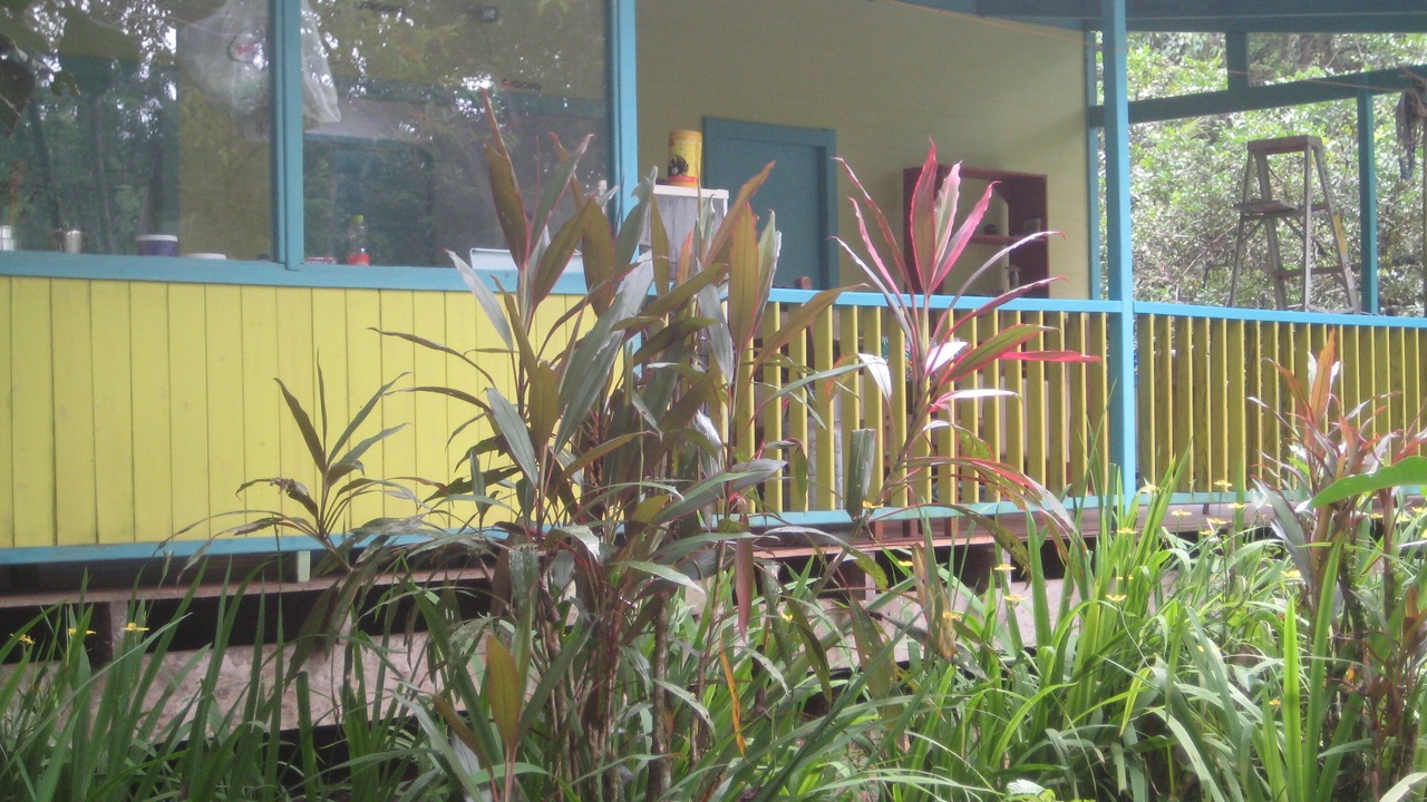 Photo of Outdoor in Cocles