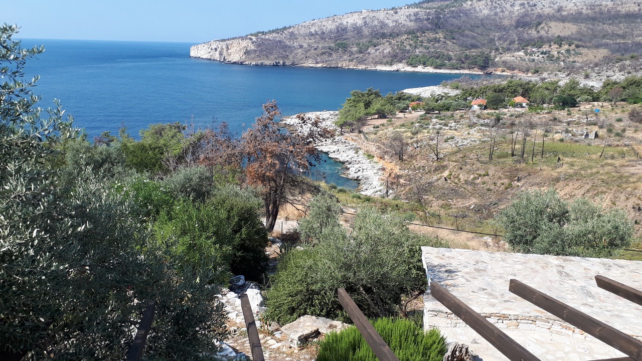 Photo of Others in Thasos