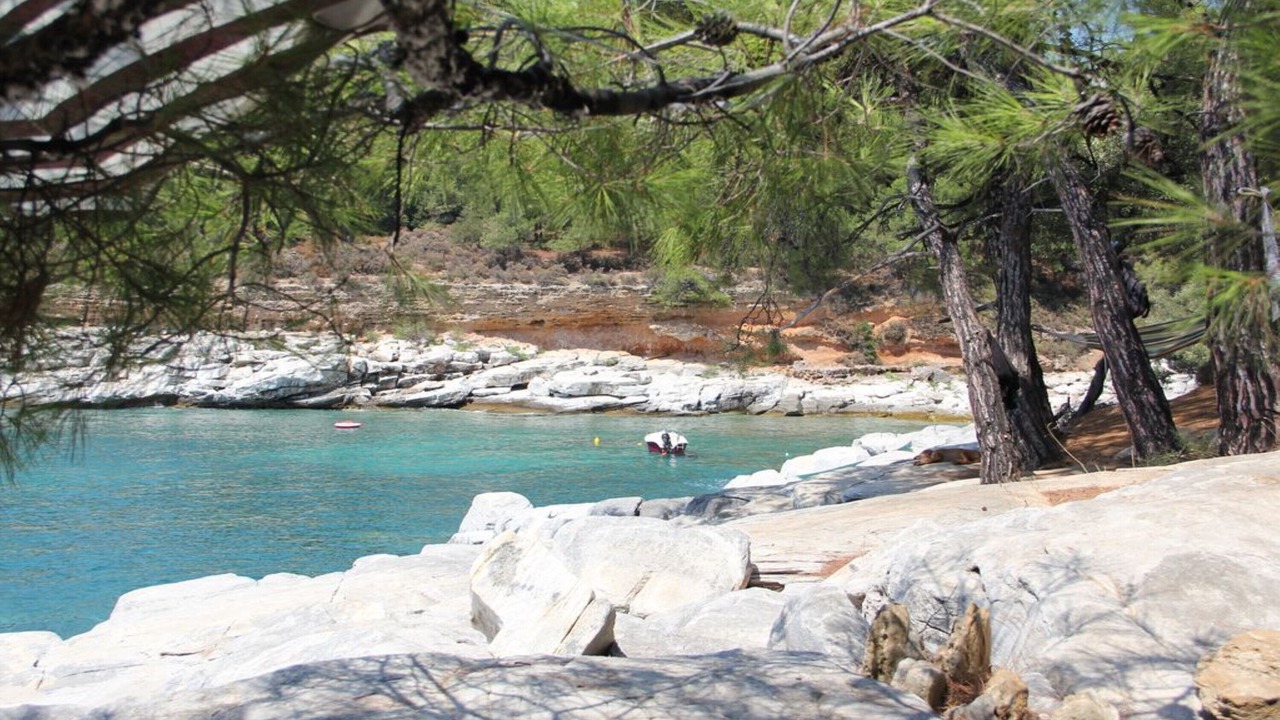 Photo of Others in Thasos