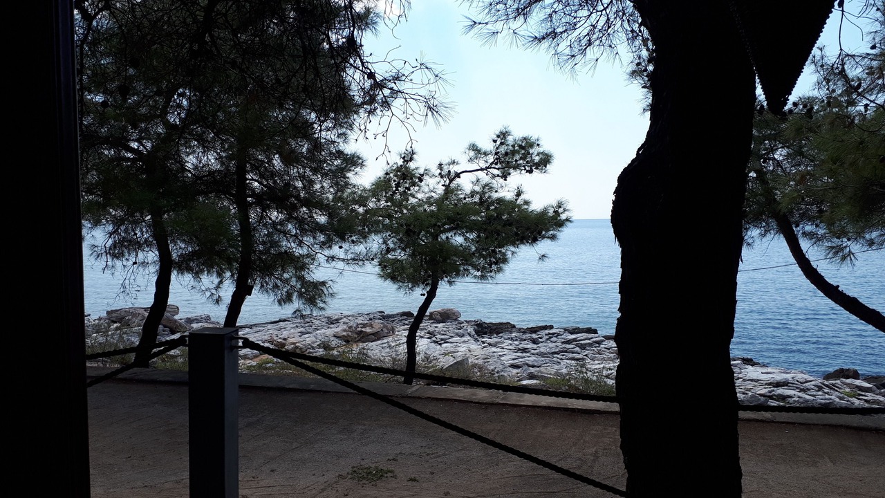 Photo of Others in Thasos