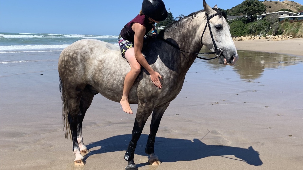 Photo of Others in Wainui