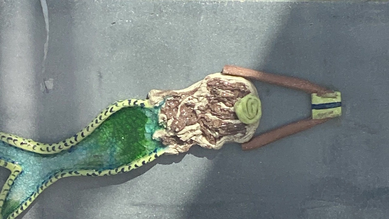 Photo of Outdoor in Binalong Bay