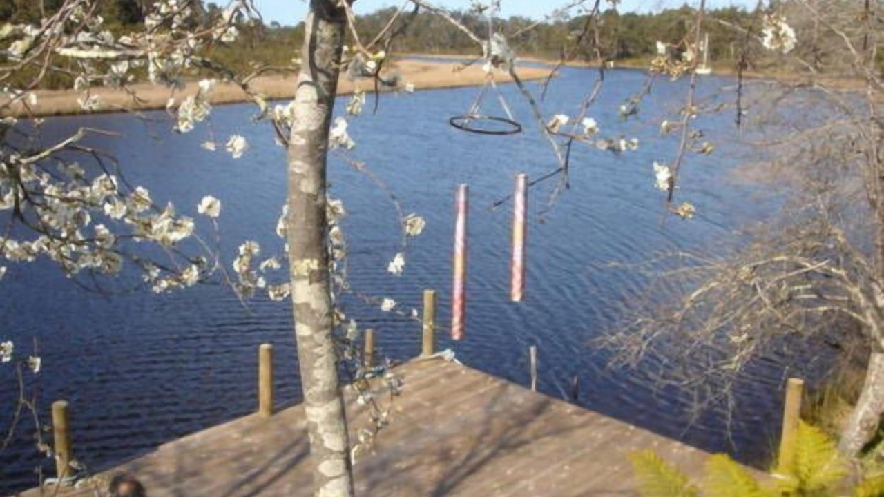 Photo of Others in Lune River