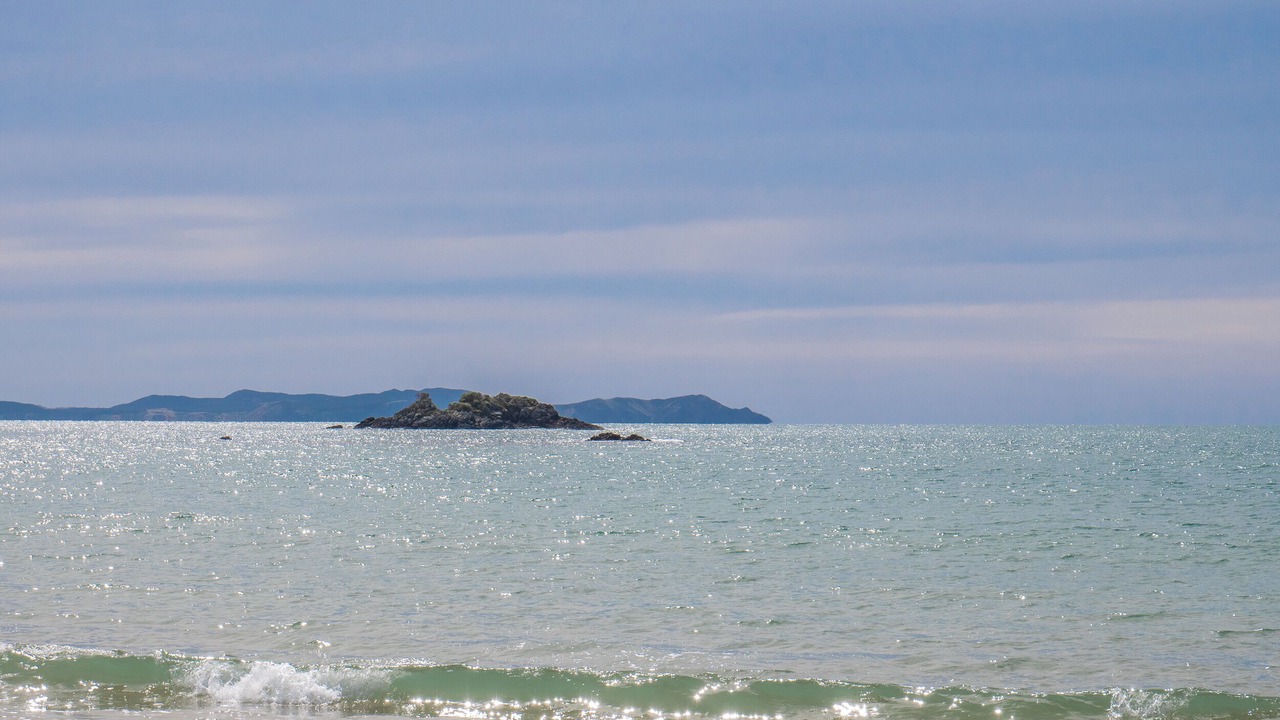 Photo of Others in Coopers Beach