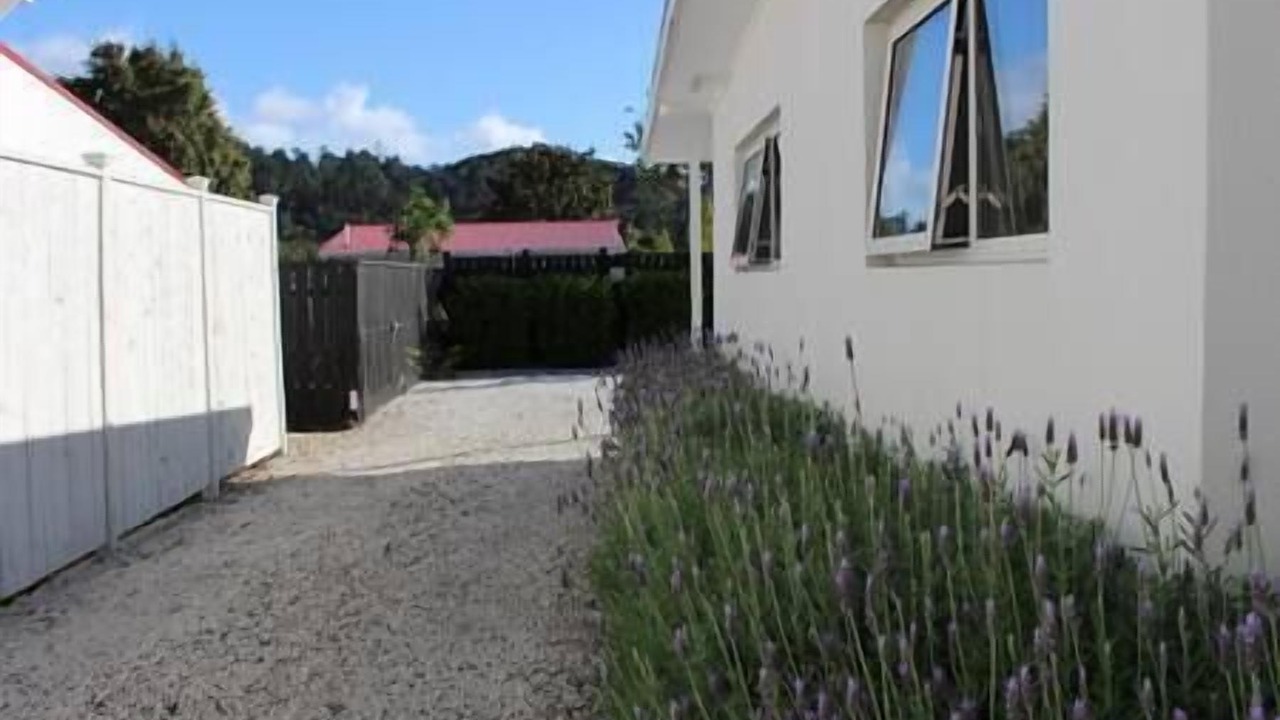 Photo of Outdoor in Coromandel