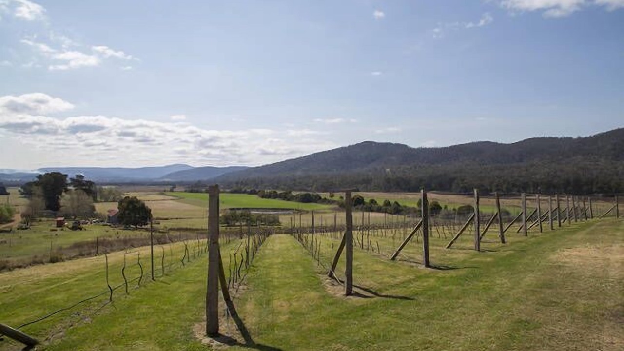 Photo of Outdoor in Buckland