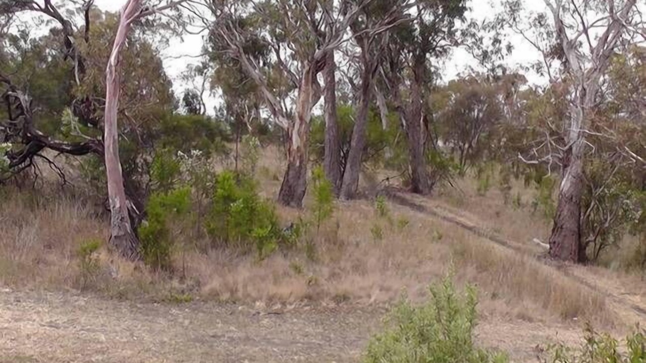 Photo of Outdoor in Glebe