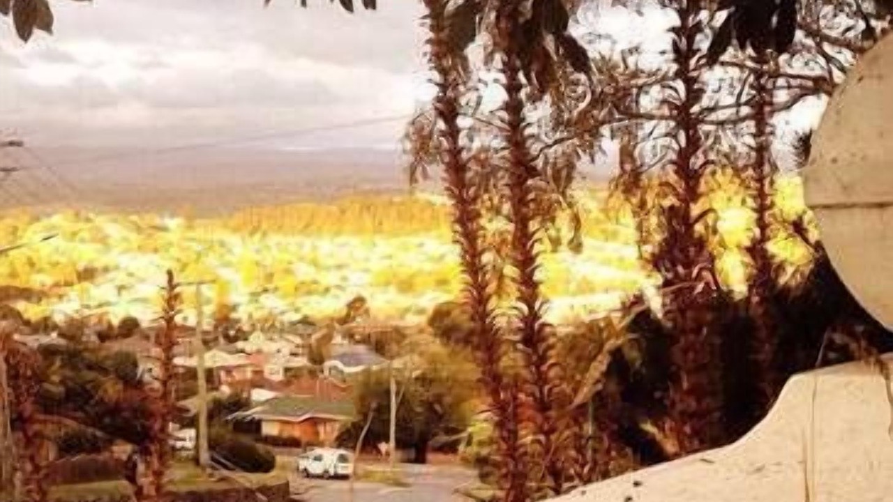 Photo of Outdoor in West Launceston
