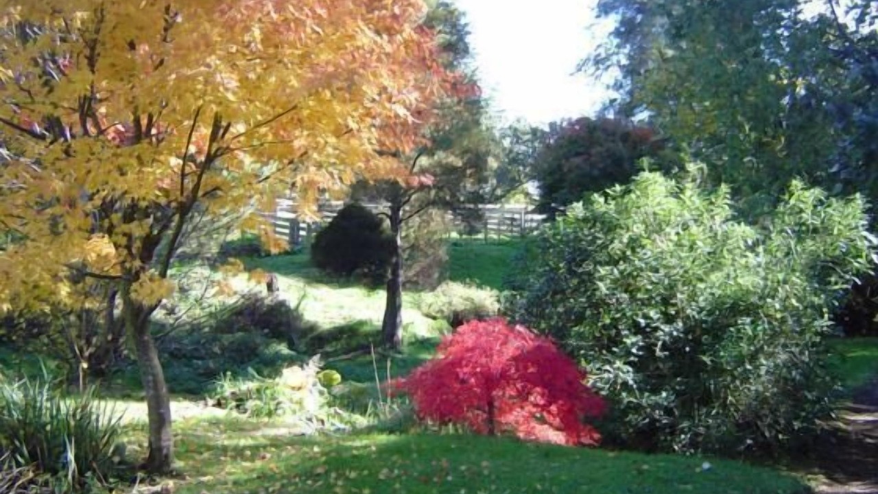 Photo of Others in Rangiwahia