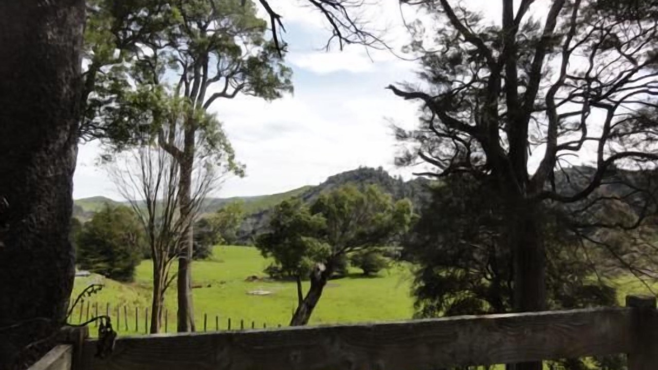 Photo of Others in Rangiwahia