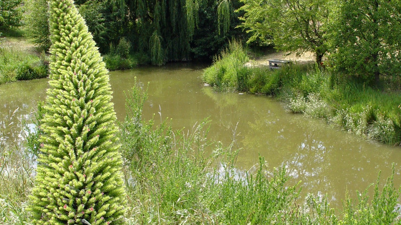 Photo of Outdoor in Bagdad