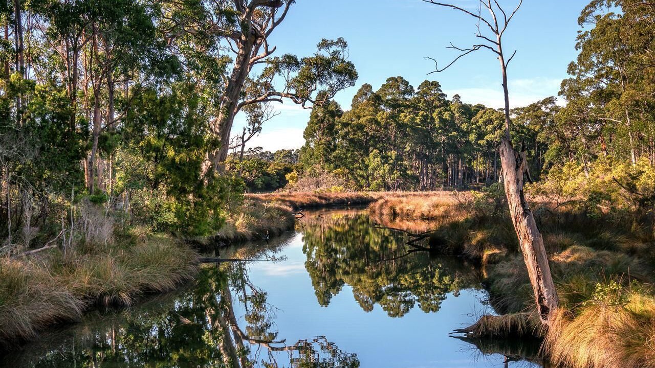 Photo of Others in South Bruny