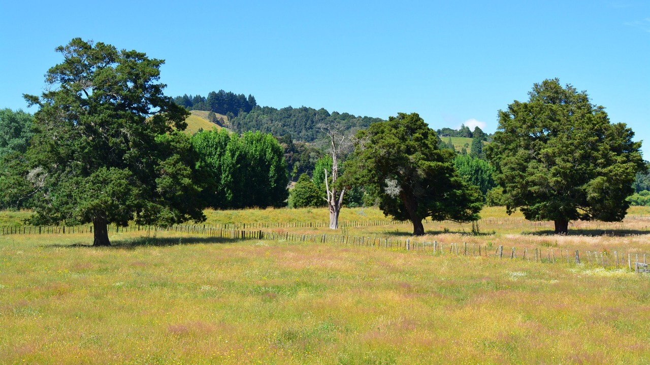 Photo of Others in Taumarunui