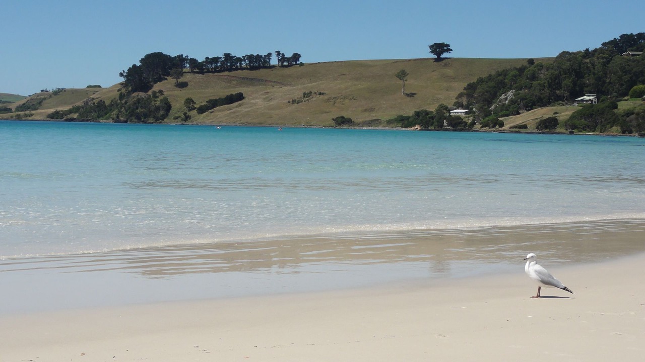 Photo of Others in Boat Harbour Beach