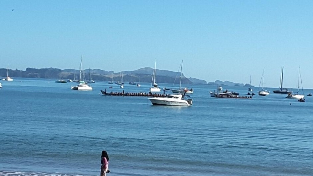 Photo of Others in Paihia