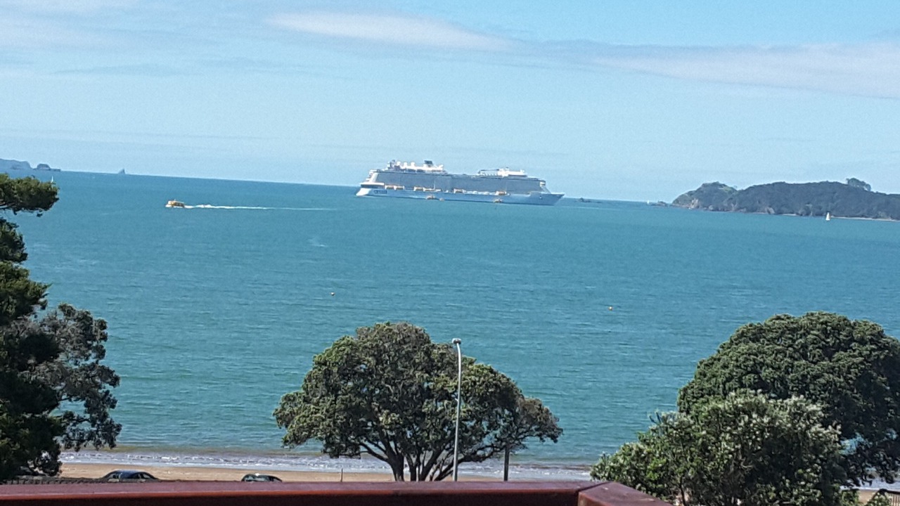 Photo of Others in Paihia