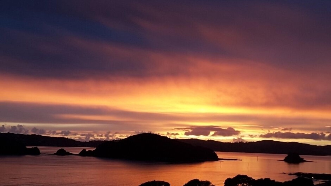 Photo of Others in Paihia