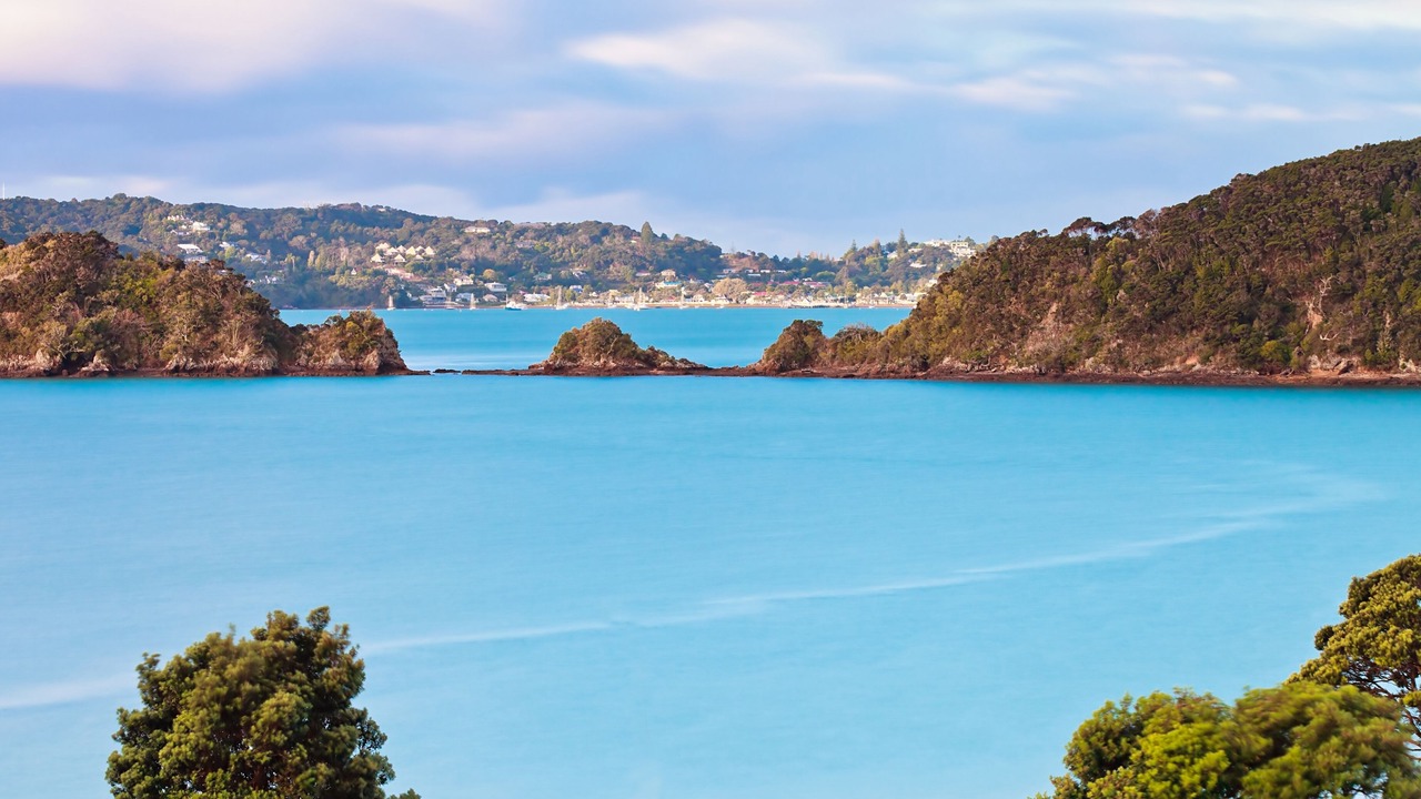 Photo of Others in Paihia