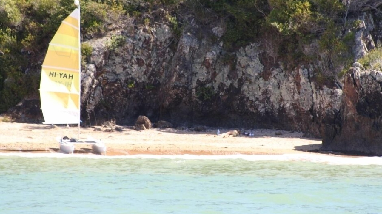 Photo of Others in Paihia