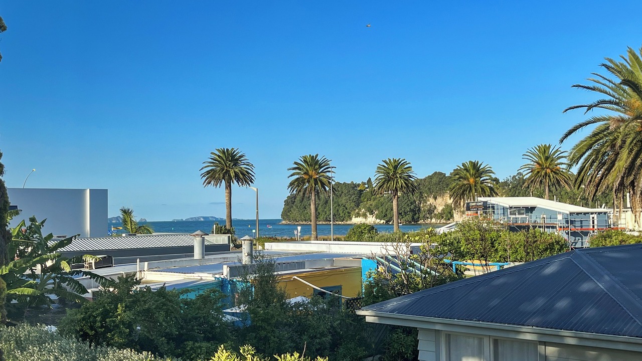 Photo of Others in Whitianga