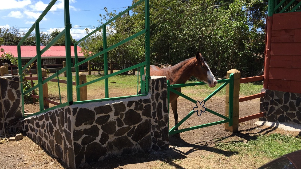 Photo of Outdoor in San Rafael de Heredia