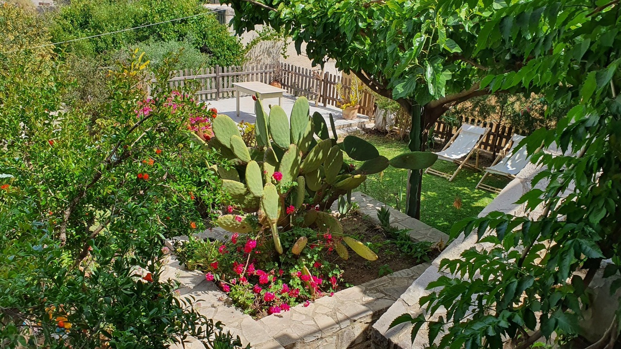 Photo of Outdoor in Sivas