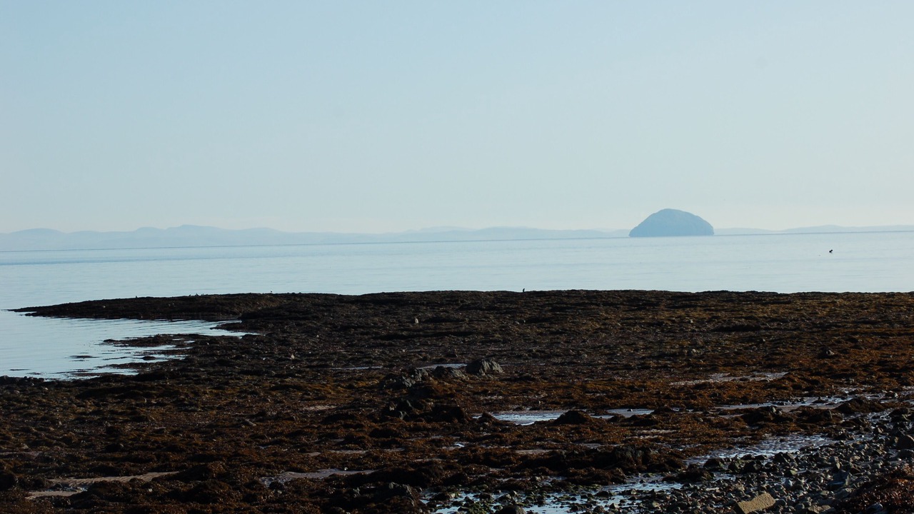 Photo of Others in Campbeltown