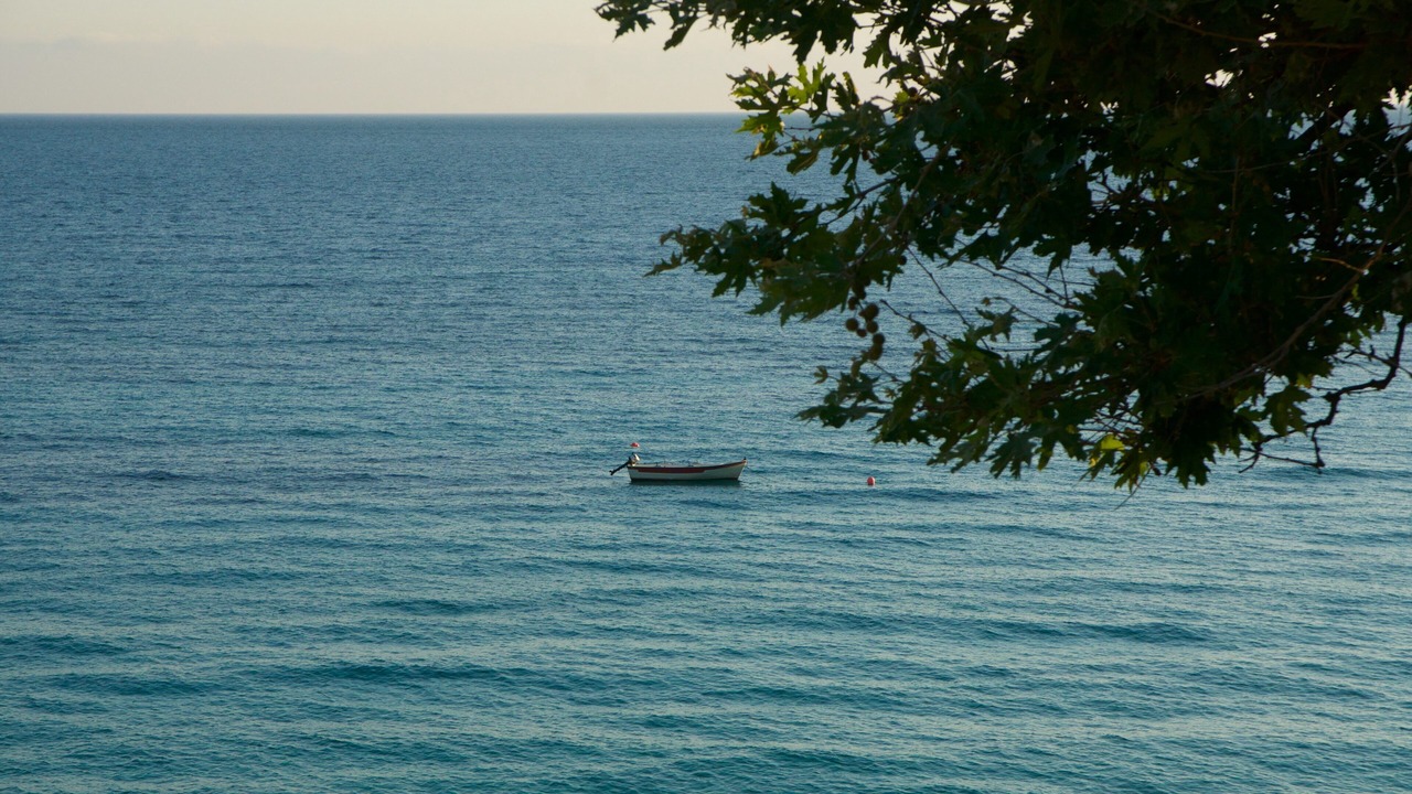 Photo of Others in Lassi