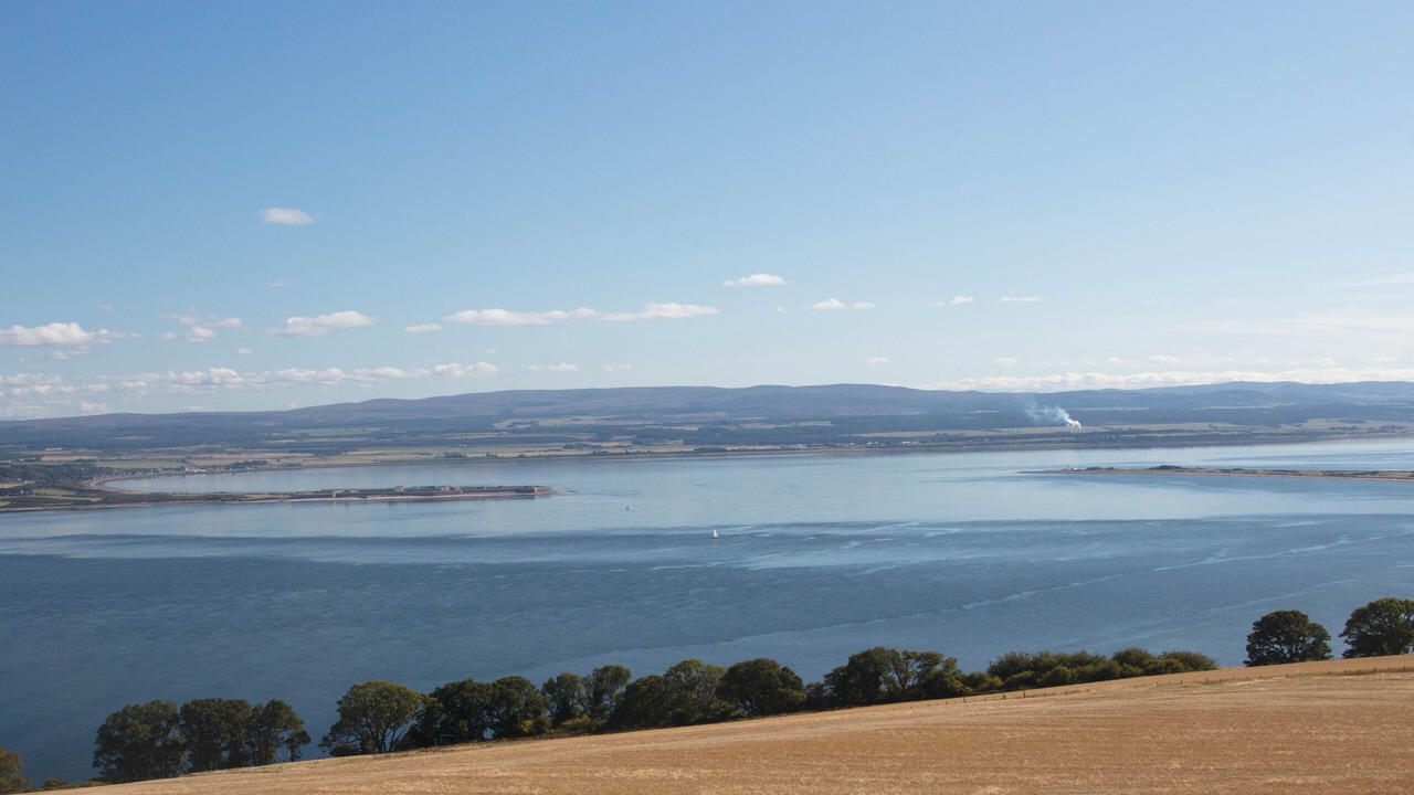 Photo of Others in Fortrose