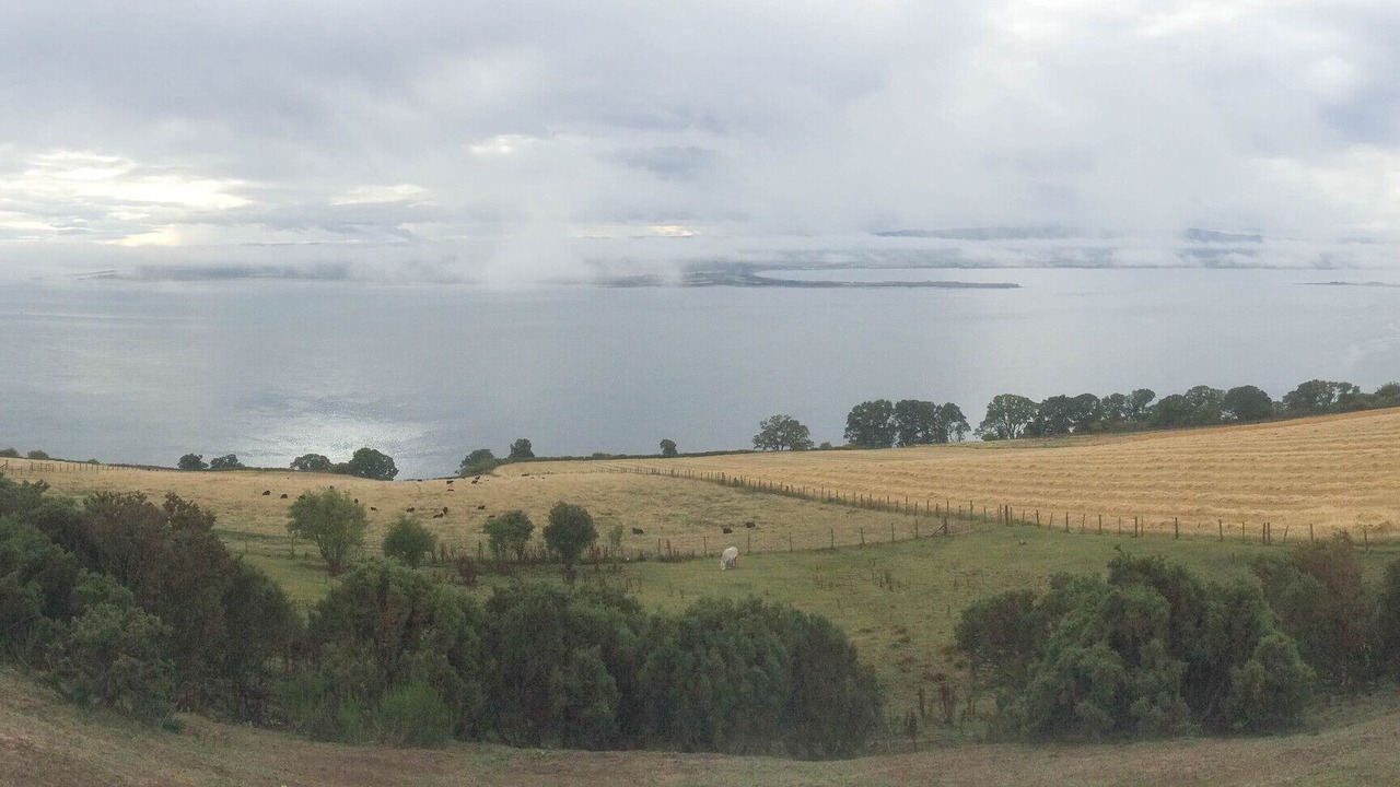 Photo of Others in Fortrose