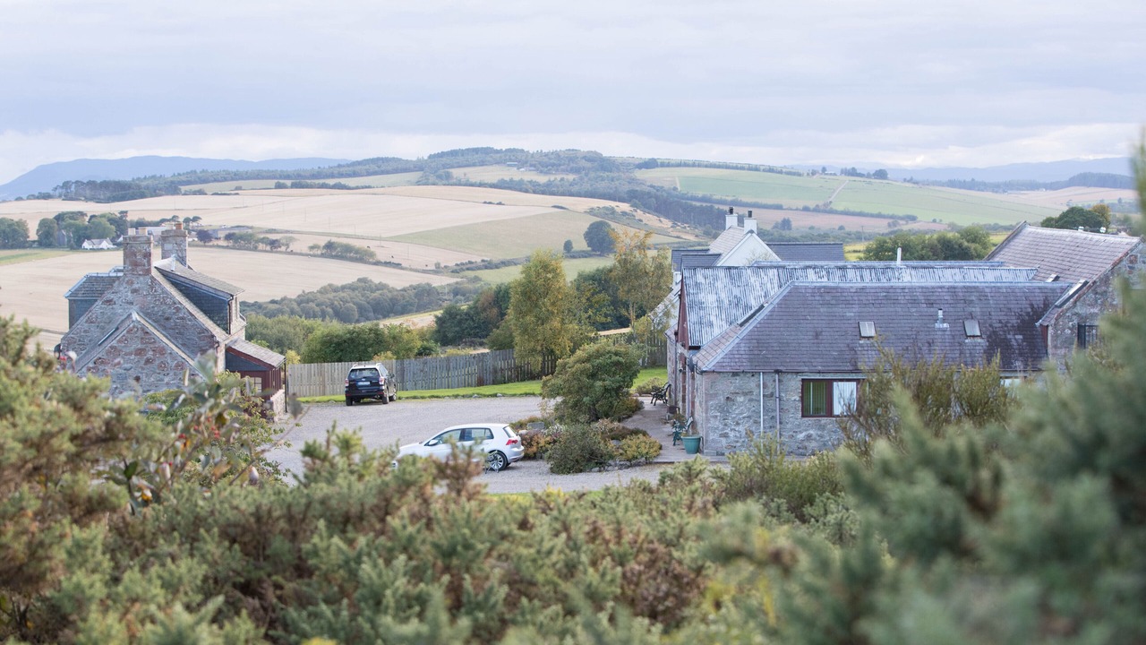 Photo of Others in Fortrose