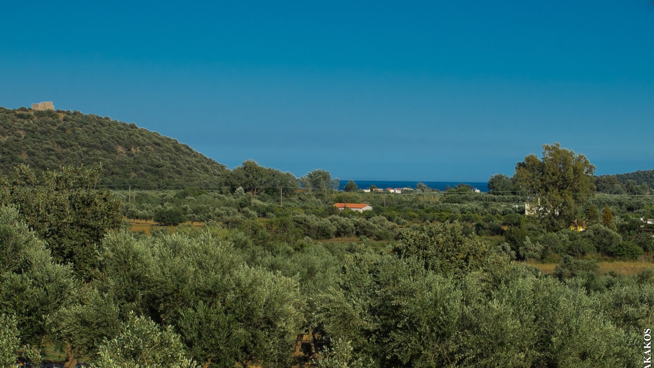 Photo of Others in Vathi