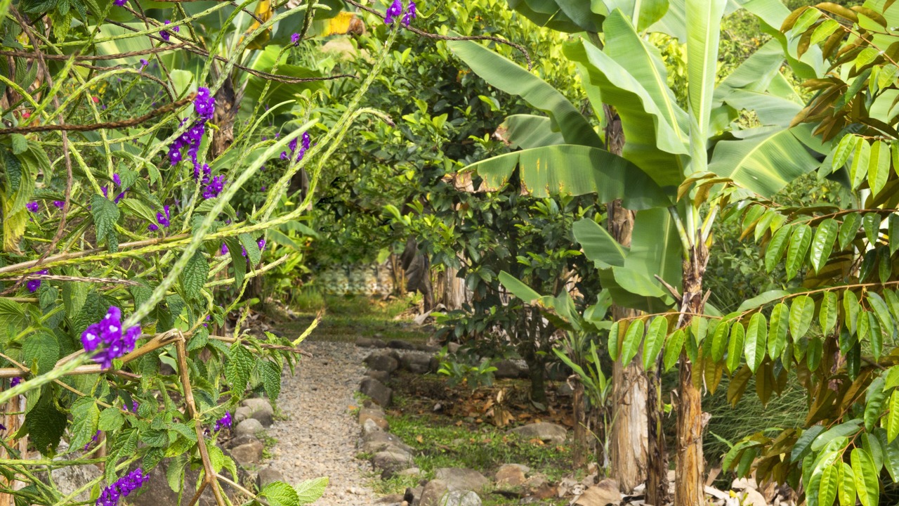 Photo of Outdoor in San Pedro