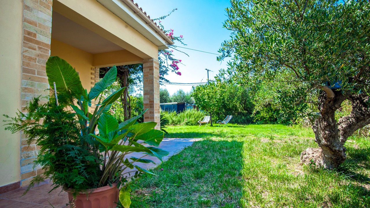 Photo of Outdoor in Minia