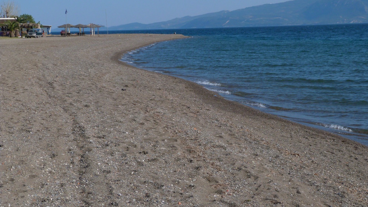 Photo of Others in Amarinthos