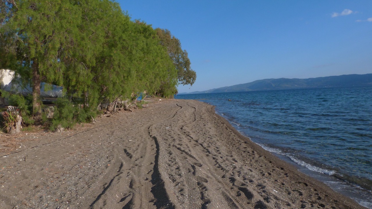 Photo of Others in Amarinthos