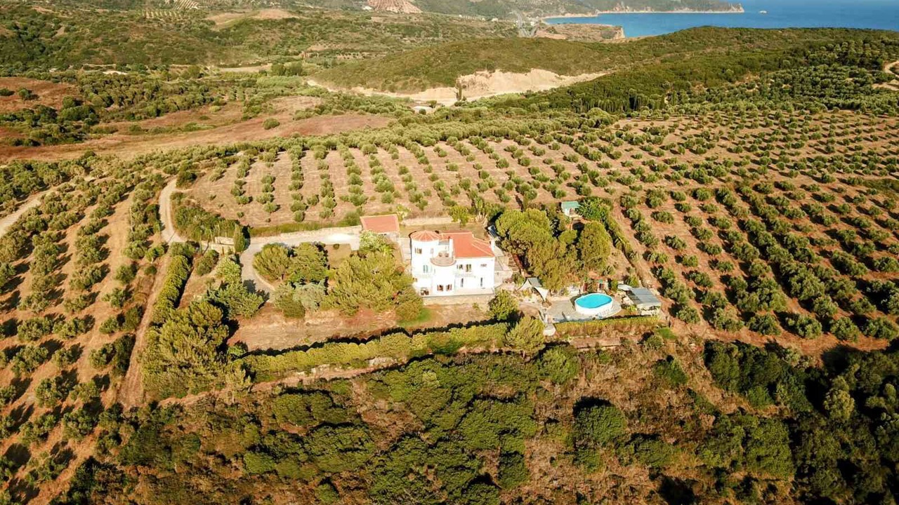 Photo of Outdoor in Messenia Region