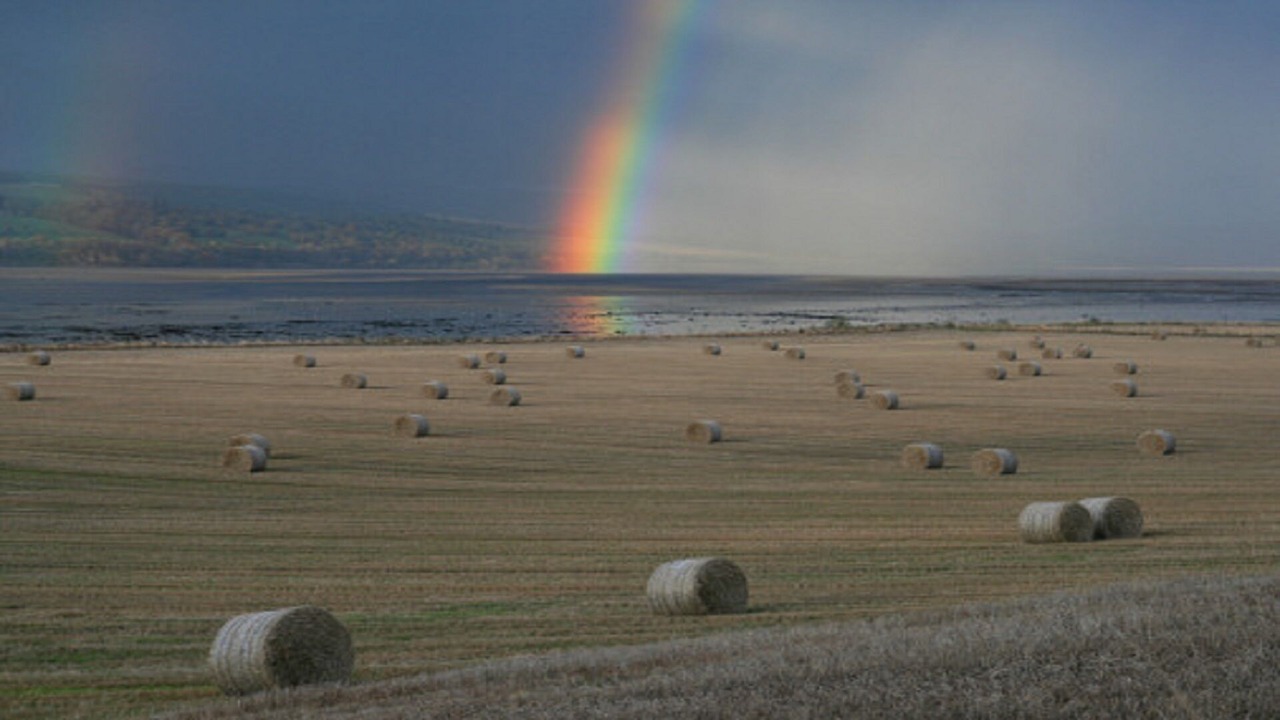 Photo of Others in Dingwall
