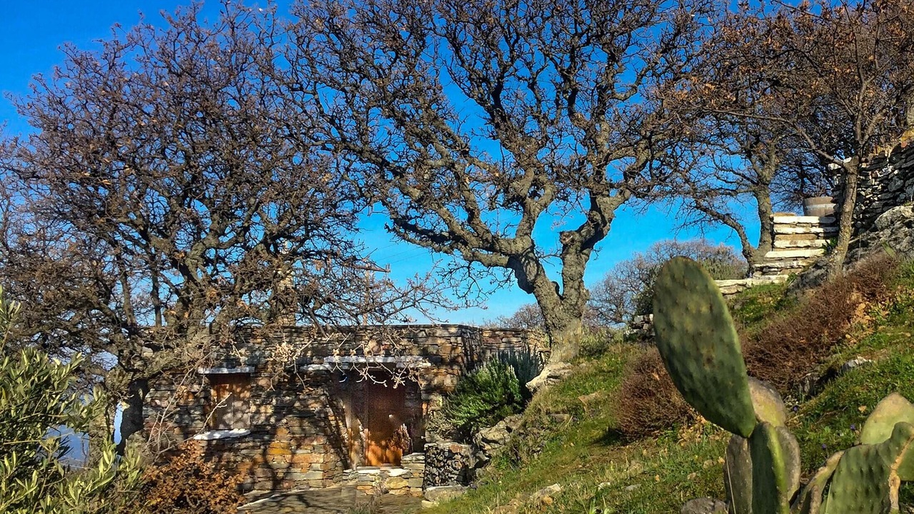 Photo of Outdoor in Kea
