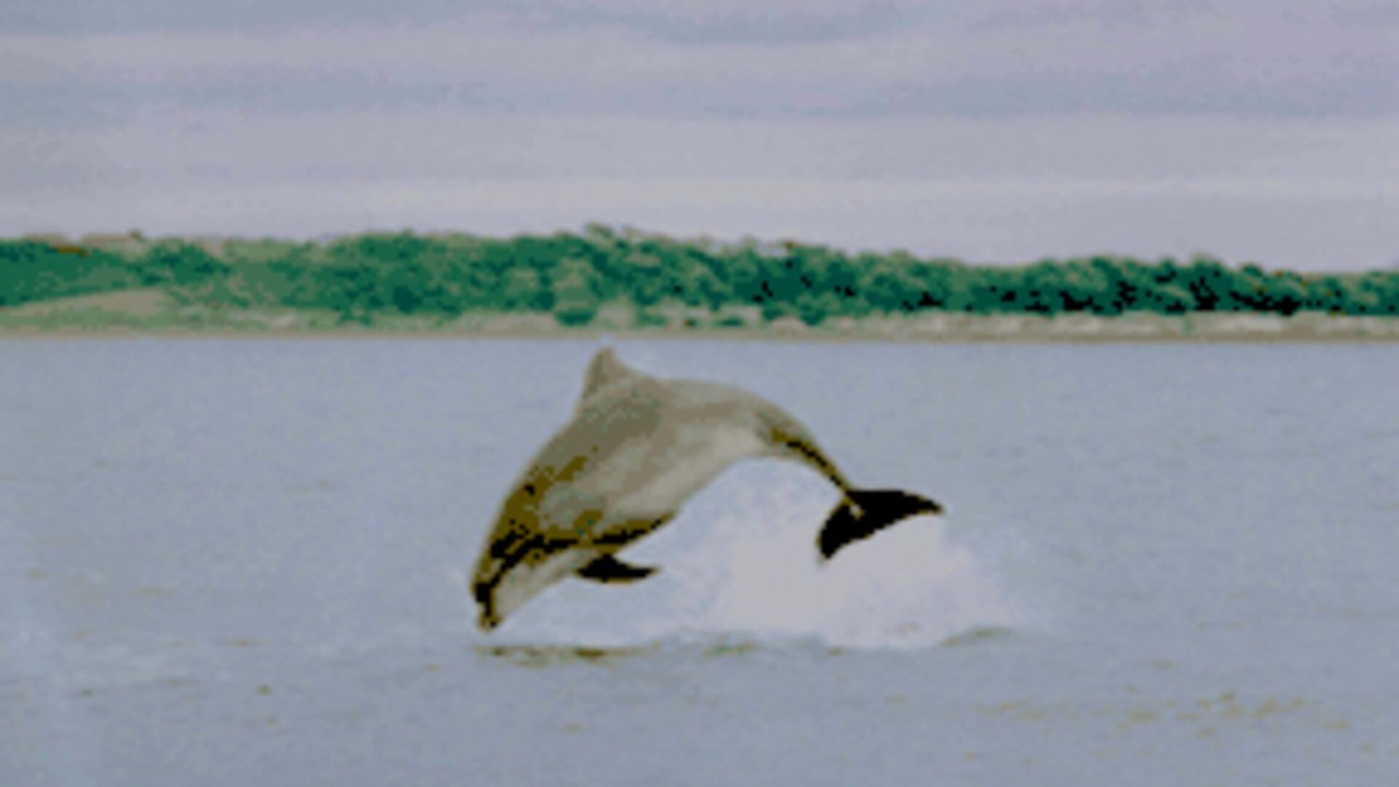 Photo of Others in Ardersier