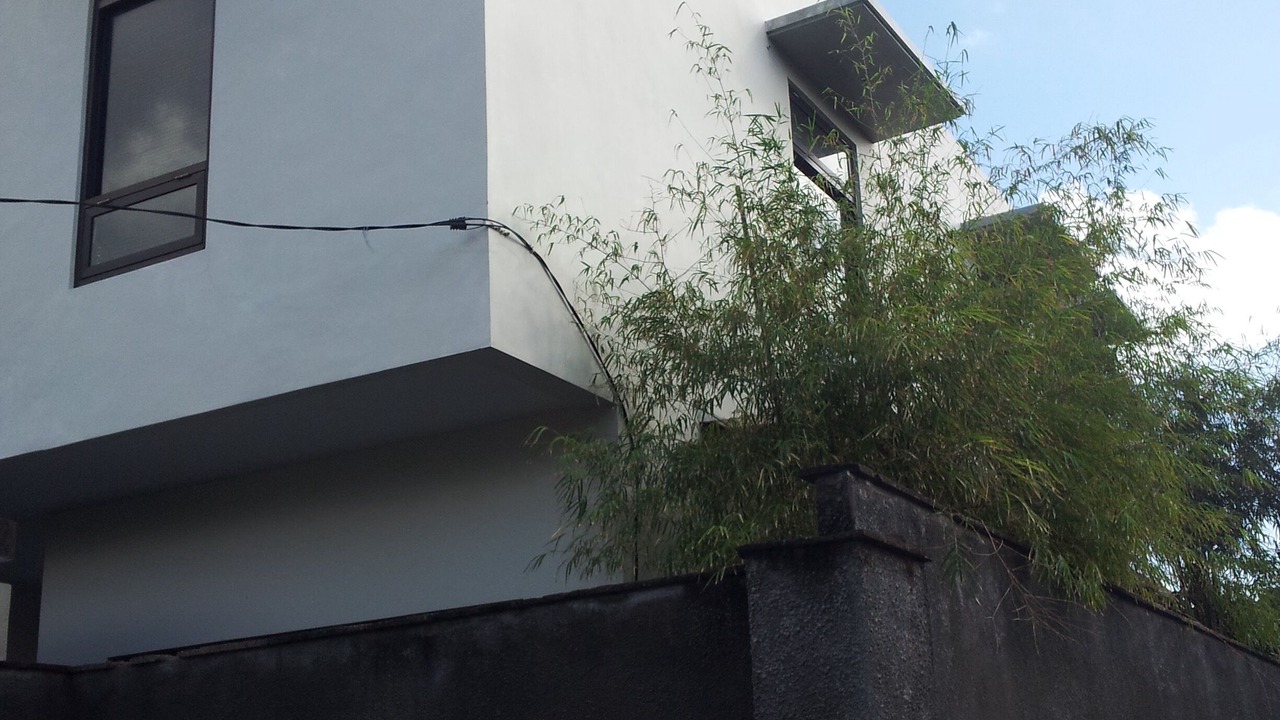 Photo of Outdoor in Padangsambian Klod