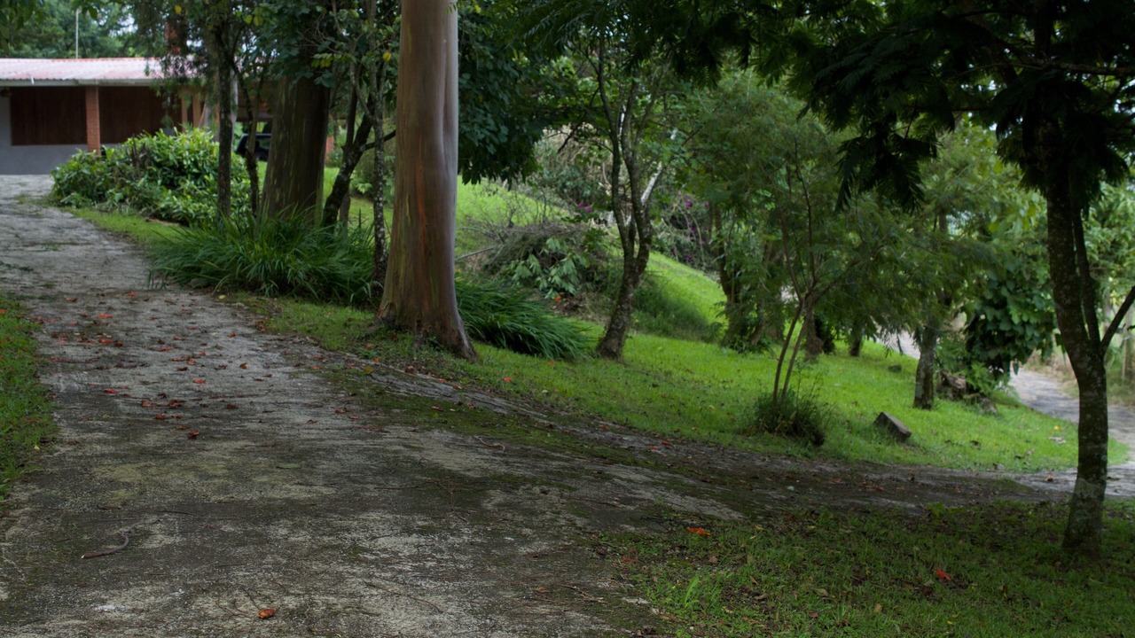 Photo of Outdoor in Roble