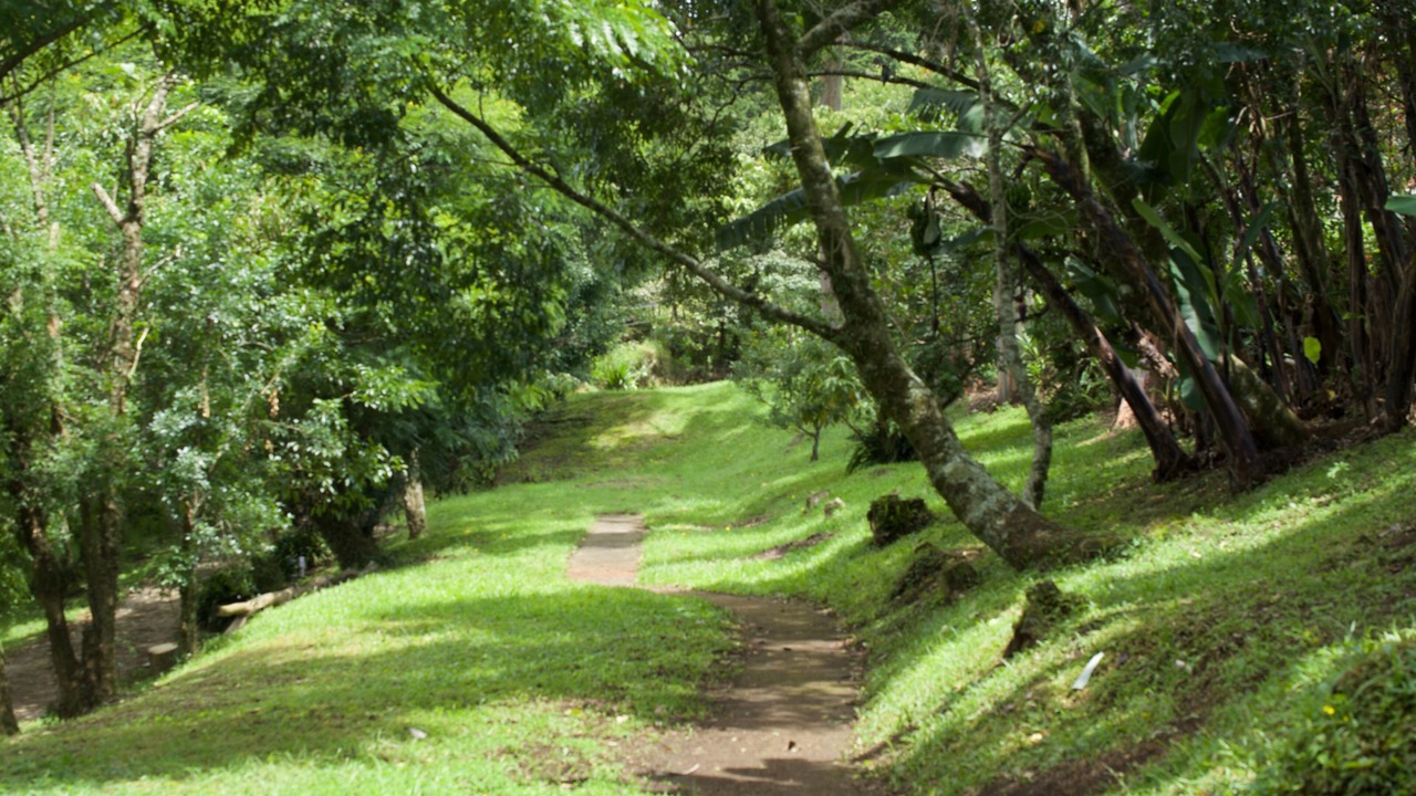 Photo of Outdoor in Roble